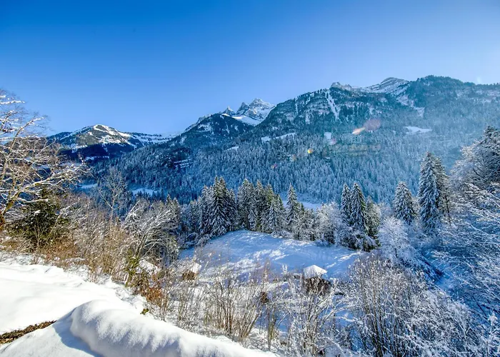 Magical Setting Exclusive Mountain Views Champéry